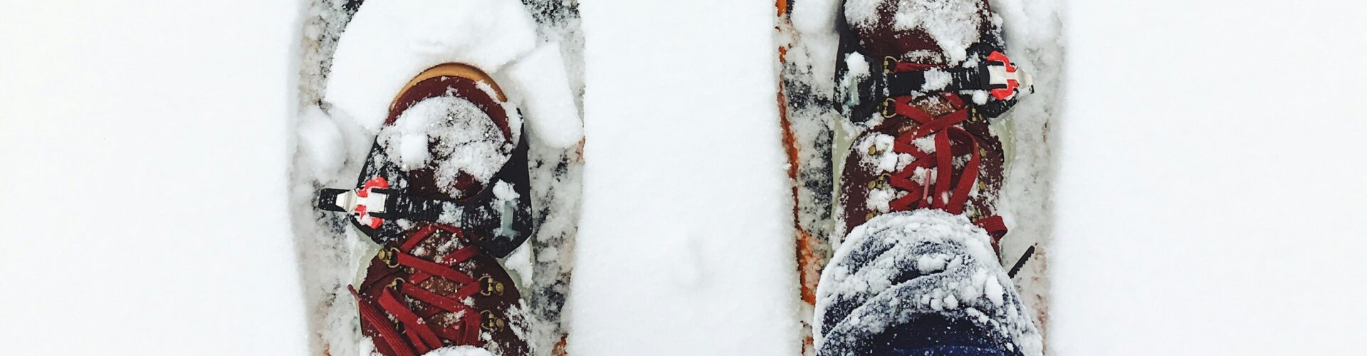 Greg rakozy S Xyx T9h Po X0 unsplash