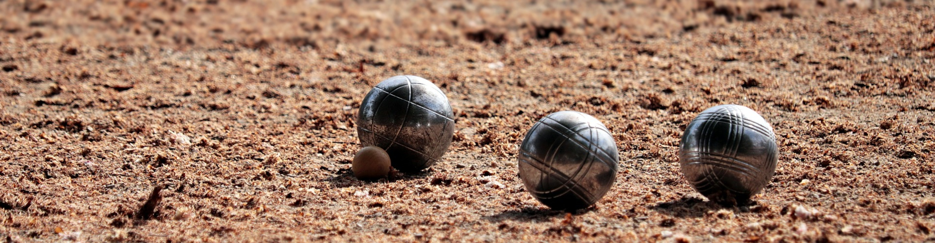 Petanque team building