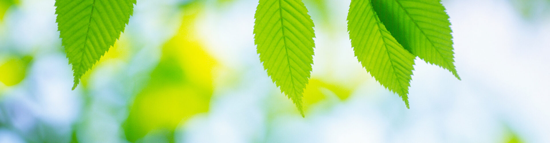 Service psychosocial