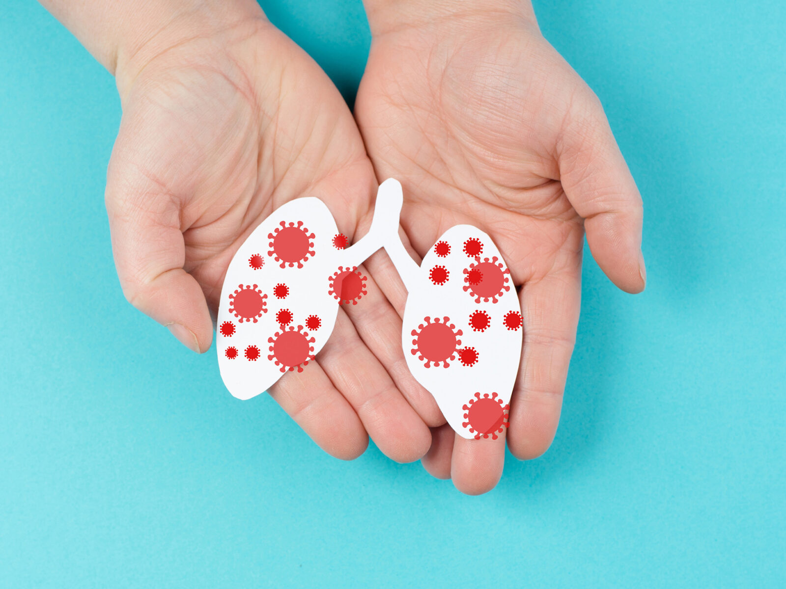 Tuberculose wd 24 mars 2026