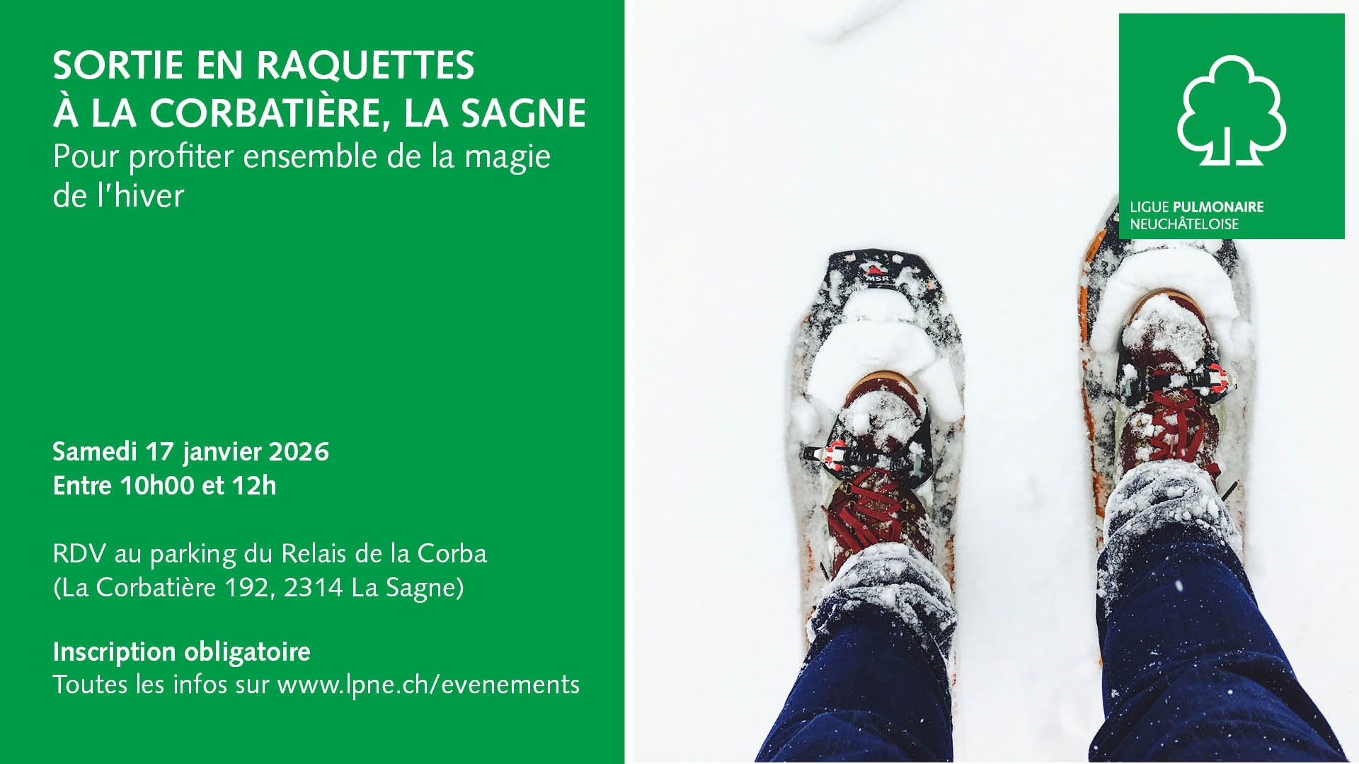 Sortie raquettes 2026